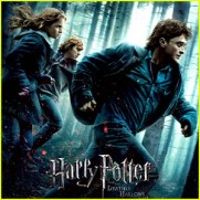 hp-deathly-hallows-dvd hp-deathly-hallows-dvd