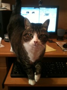 Bella computer