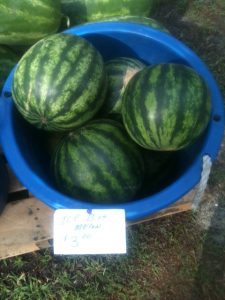 ice box melon