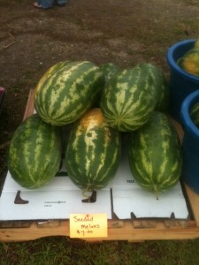 seeded melons