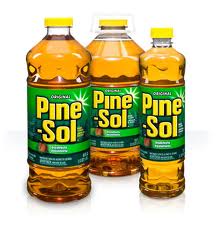 Post image for Facebook Coupon: $1/1 Pine-Sol (CVS $.25)