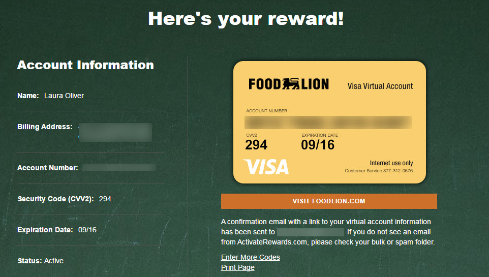 How To Use Your Food Lion School of Champions VISA Credits