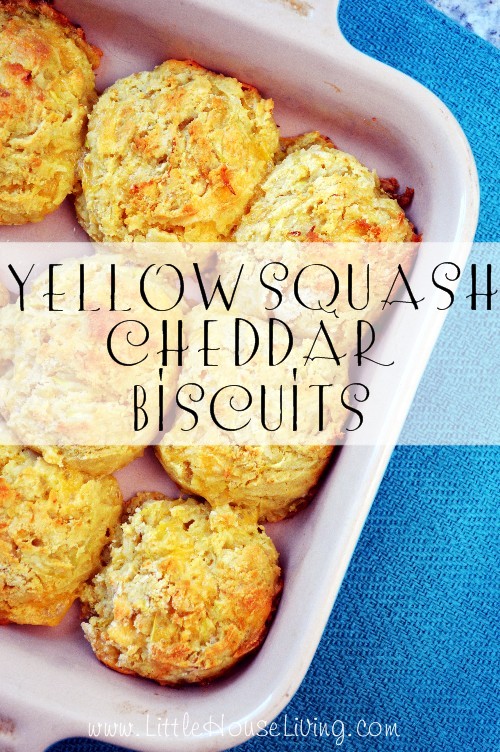Yellow Squash Cheddar Biscuits