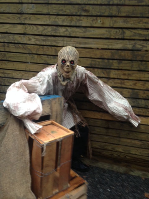 2015-howl-o-scream-9