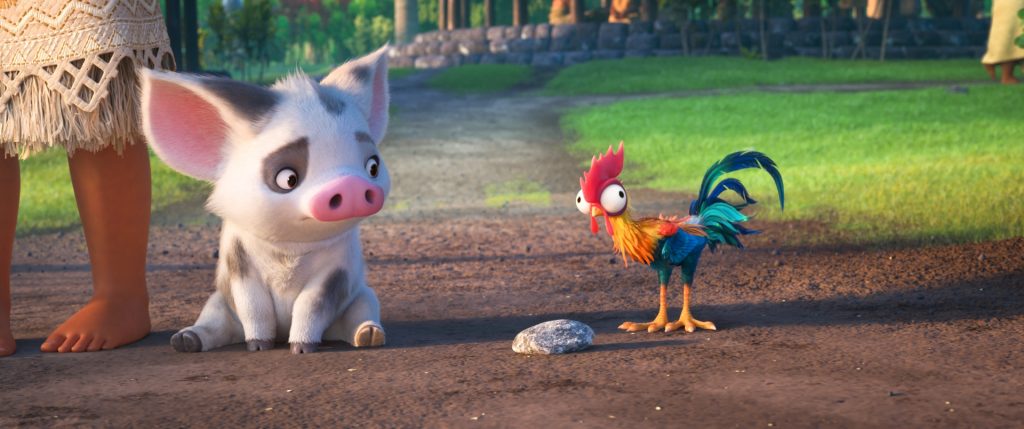 moana pig