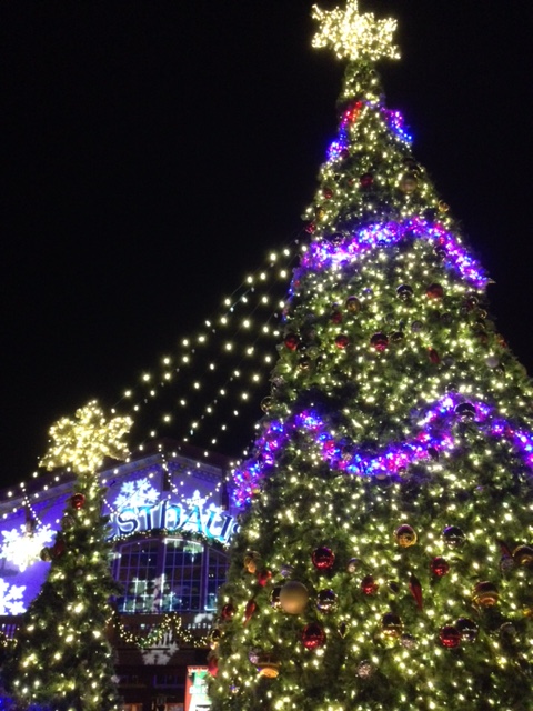 fest-haus-lights