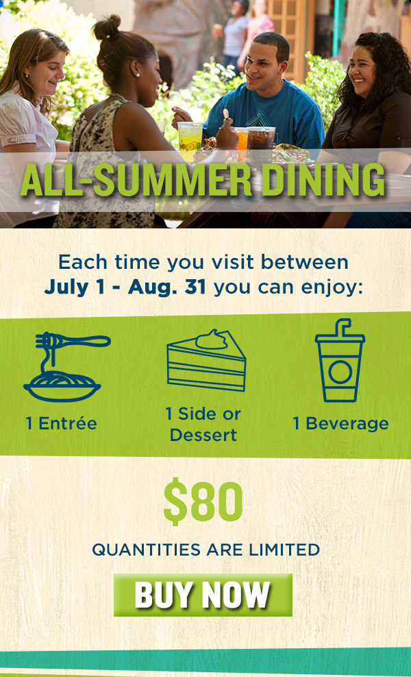 Busch Gardens Williamsburg Announces All Summer Dining Pass For 80