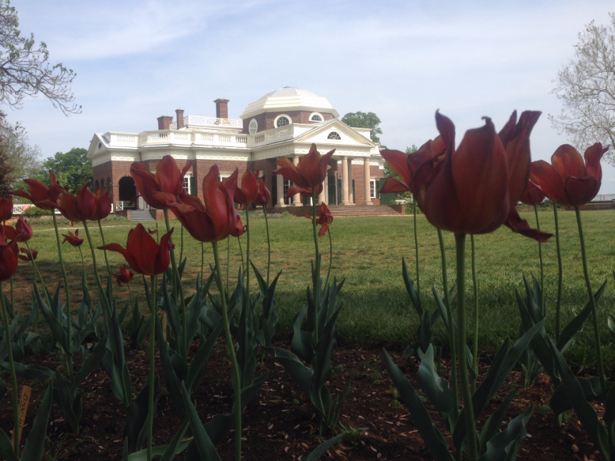 Virginia's Monticello