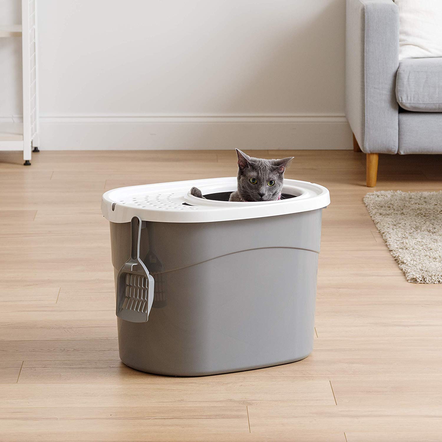 Amazon Lowest Price Cat Litter Box with Cat Litter Scoop