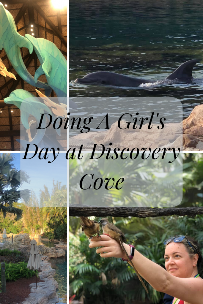 Girl's Day at Discovery Cove- If you are looking for a girl's day to relax I highly recommend Discovery Cove! It was a fantastic day! 