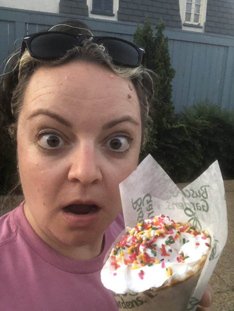 Taste of Busch Gardens Review