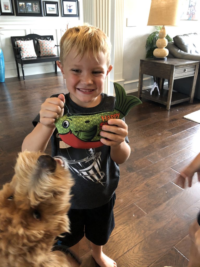 Happy Salmon Card Game Review