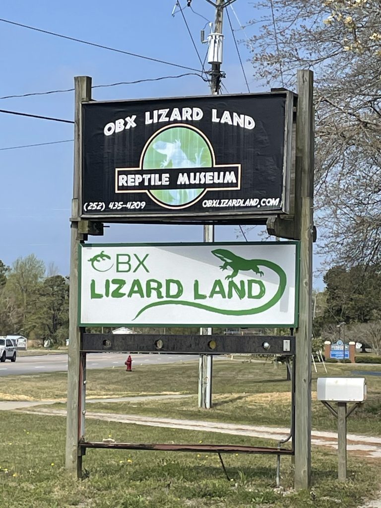 Visiting OBX Lizard Lane