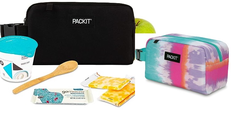 Lowest Price: PackIt Freezable Snack Boxes