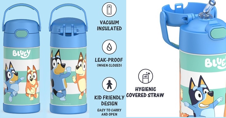 https://www.afrugalchick.com/wp-content/uploads/2023/11/THERMOS-FUNTAINER-12-Ounce-Stainless-Steel-Vacuum-Insulated-Kids-Straw-Bottle-Bluey.jpg